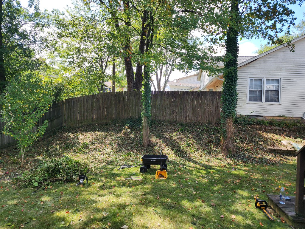 Junk Removal & Cleanup