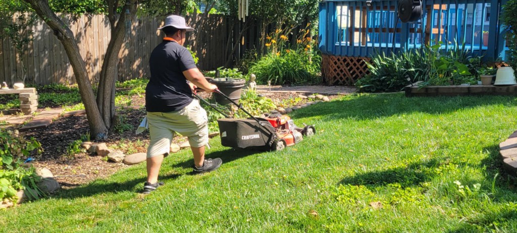 Freshly mowed lawn with clean stripes